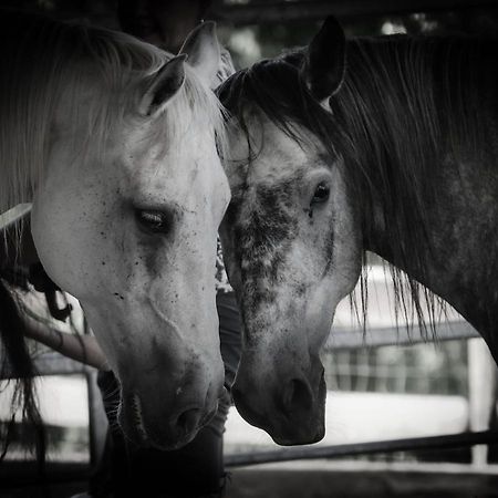 Sinnes Wandel Hof Serka Grimma Bagian luar foto